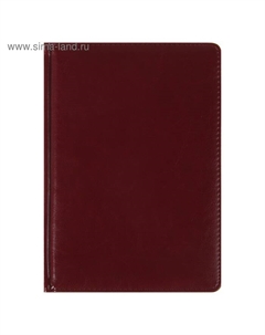 Ежедневник недатированный А5+, 136 листов Sidney Nebraska, твёрдая обложка, искусственная кожа, золотой срез, бордовый Альт