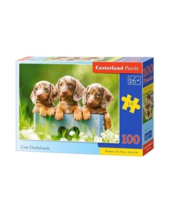 Пазл «Щенки таксы», 100 элементов Castorland