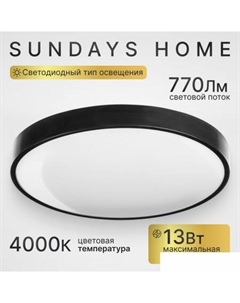 Припотолочная люстра 240924-13 5764 (черный) Sundays home