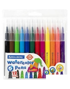 Фломастеры Premium 152196 (12 цв) Brauberg