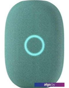 Умная колонка Капсула (хвойный зеленый) Vk