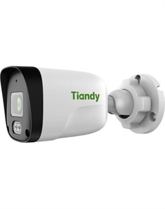 IP-камера TC-C321N AK/I3/E/Y/C/2.8mm/V2.0 Tiandy