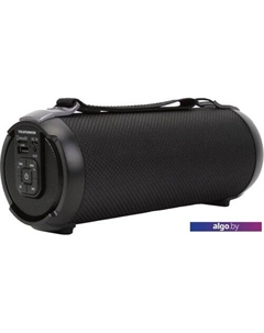 Беспроводная колонка TF-PS1243B Telefunken