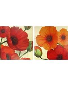 Постеры Декарт 8П0023