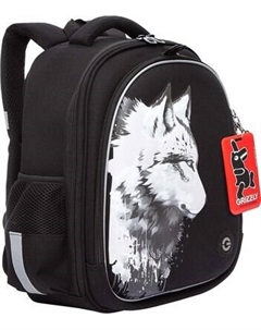 Школьный рюкзак Grizzly RAz-587-2