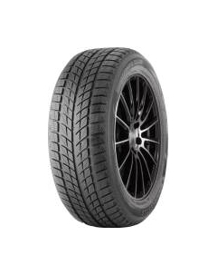 Зимняя шина DoubleStar DW09 235/50R18 97H Doublestar