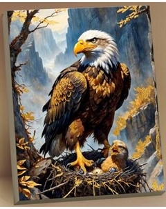 Картина по номерам Флюид Белоголовый орлан 40x50 / HR0698