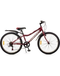 Велосипед FAVORIT Sirius-24VS / SIR24V12CH Favorit