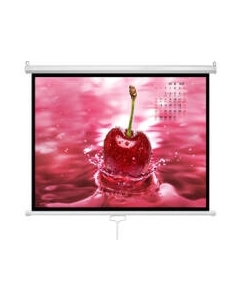 Проекционный экран Future Vision Business 300 / W300WMW Future vision