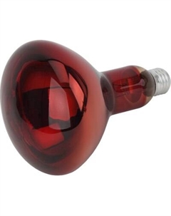 Лампа для растений ЭРА ИКЗК 220-250 R127 / Б0055442 Эра