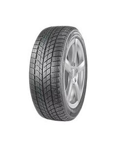 Зимняя шина DoubleStar DW09 275/40R20 106V Doublestar