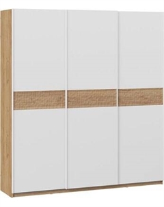 Шкаф-купе ТриЯ Оскар Скания Т2 2100 / 268736 Трия