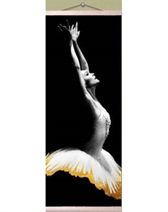 Картина по номерам Флюид Лебединое озеро 23x57 / HRP0139