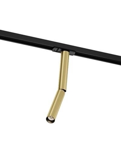 Трековый светильник Maytoni TR142-1-6W3K-BS