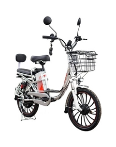 Электровелосипед E-ALFA 20 Pro (серебристый) Avm