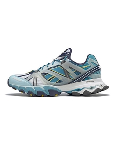 Кроссовки Dmx Trail Blue White Reebok