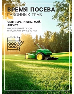 Семена Газонная травосмесь «Сибиряк», 1 кг Евро-семена