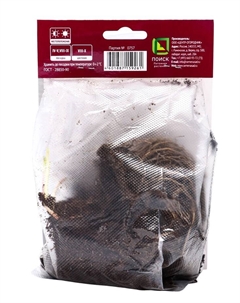 Астра кустарниковая «Аннеке», р-р I, 1 шт., Осень 2025 Поиск