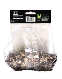 Примула «Винтаж», р-р I, 1 шт., Осень 2025 Поиск