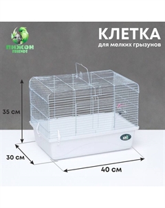 Клетка для грызунов с высоким поддоном, 40×30×35 см, белая Пижон