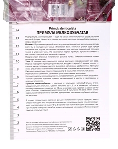 Примула мелкозубчатая «Альба», р-р I, 1 шт., Осень 2025 Поиск