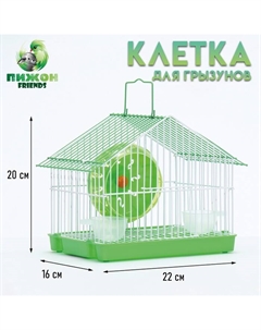 Клетка для грызунов укомплектованная RT-2t, 22×16×20 см, зелёная (фасовка 30 шт.) Пижон
