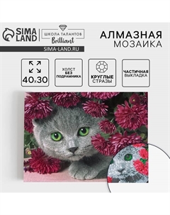 Алмазная мозаика с частичным заполнением «Котёнок», 40 х 30 см. Набор для творчества Школа талантов