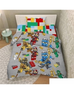 Постельное белье Тинейджер 24 10191/1 Василек