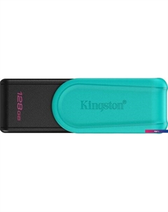 USB Flash DataTraveler Exodia S 128GB DTXS/128GB Kingston