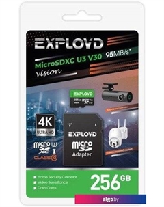 Карта памяти Vision microSDXC 256GB EX256GCSDXC10-U3-V30 (с адаптером) Exployd