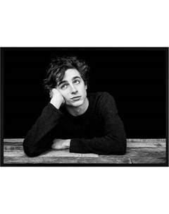 Постер Citydecor Timothee Chalamet 1