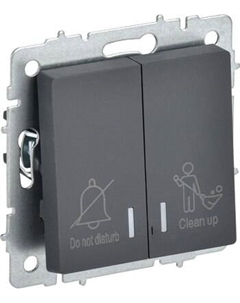 Выключатель IEK Brite BR-V20-2-10-K53 Iek