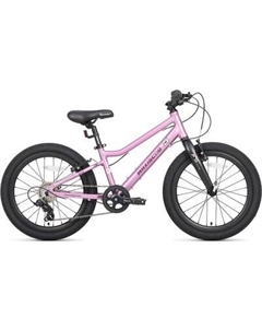 Детский велосипед Maxiscoo 5bike 20 L200 2025 / MSC-M5-2013