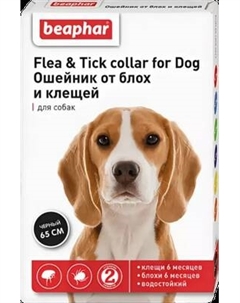 Ошейник от блох Beaphar для собак 12512