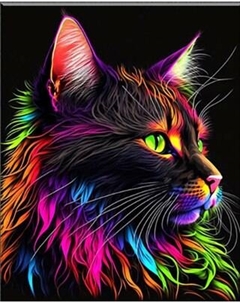 Картина по номерам Флюид Радужный котик 40x50 / BHR0557