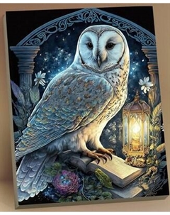Картина по номерам Флюид Магическая сова 40x50 / HR0651