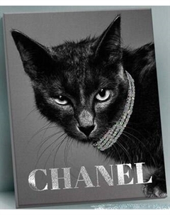 Картина по номерам Флюид Изящная кошка 40x50 / QHR0005