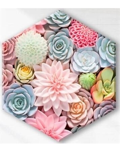 Картина по номерам Флюид Красивые суккуленты 37x32 / VSH0006