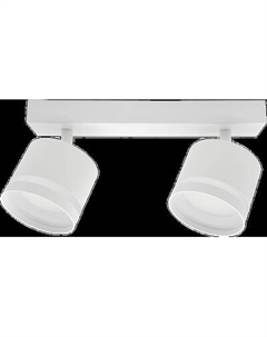 Спот Truenergy 21391