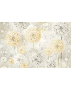 Фотообои листовые Citydecor Невесомость 47