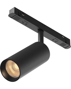 Трековый светильник Maytoni Artisan TR097-2-12W2.7K-M-BB