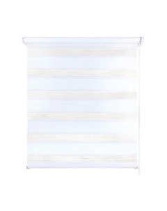 Рулонная штора LEGRAND День-Ночь 100x160 / 58065317 Legrand