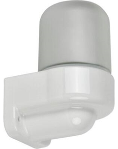 Светильник ЖКХ Generica Для бани и сауны НПБ 450-6 IP54 60Вт / TA-NPB0-4506-060-K01-G