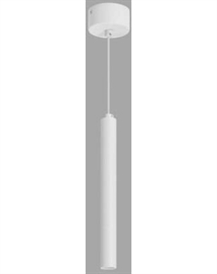 Потолочный светильник Arlight SP-PIPE-HANG-L300-R30-9W Day4000 WH 24deg / 038612