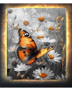 Картина по номерам Молли Бабочка монарх в ромашках 40x50 / LHR0029 Molli