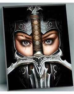 Картина по номерам Флюид Воительница фэнтези 40x50 / BQH0001