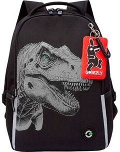 Школьный рюкзак Grizzly RB-551-6