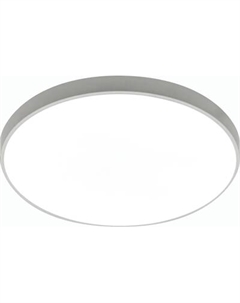 Потолочный светильник Truenergy 11600