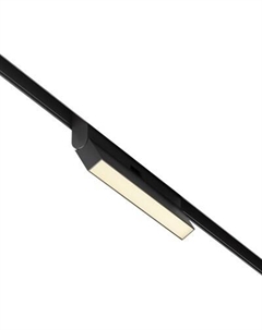 Трековый светильник Maytoni Basis TR036-2-12W2.7K-B