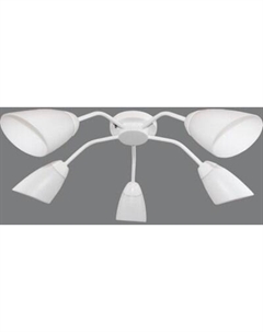 Люстра Lumix 1012/5